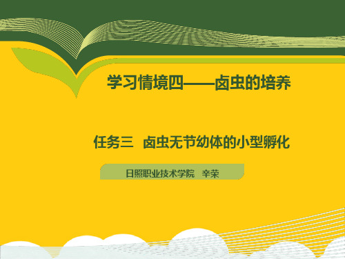 卤虫休眠卵的小型孵化ppt实用资料