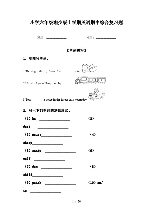 小学六年级湘少版上学期英语期中综合复习题