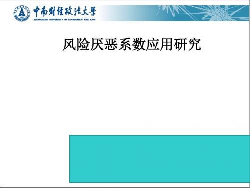 风险厌恶系数应用研究教材(PPT 39张)