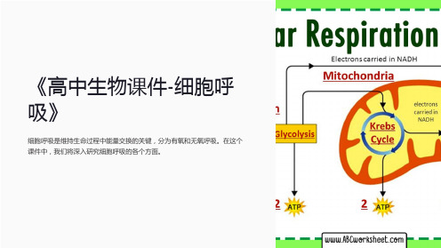 《高中生物课件-细胞呼吸》