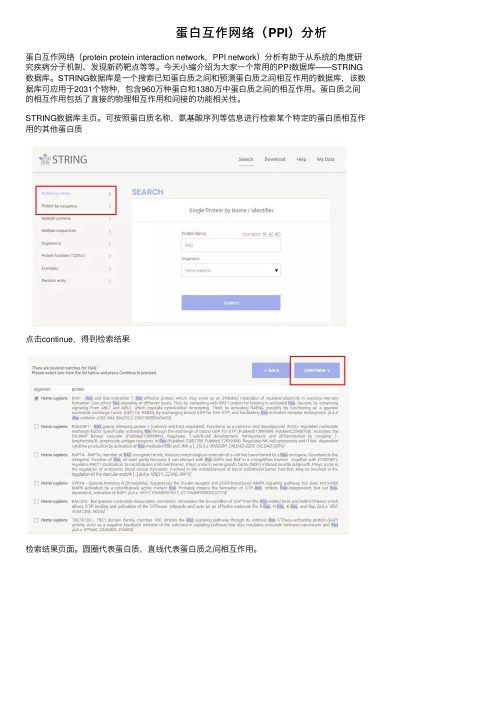 蛋白互作网络（PPI）分析