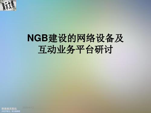 NGB建设的网络设备及互动业务平台研讨