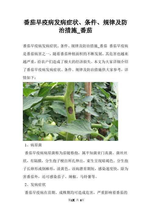 番茄早疫病发病症状、条件、规律及防治措施_番茄