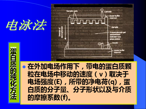 蛋白质纯化方法PPT课件