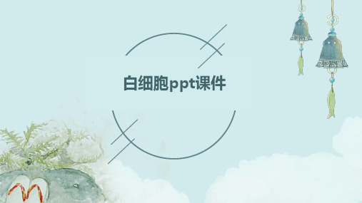 白细胞ppt课件