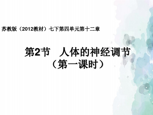 苏教版-生物-七年级下册- 4.12.2人体的神经调节(第1课时)课件