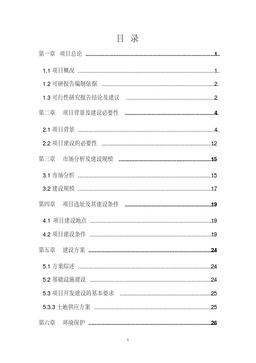 儋州市那大城区土地储备项目可研报告