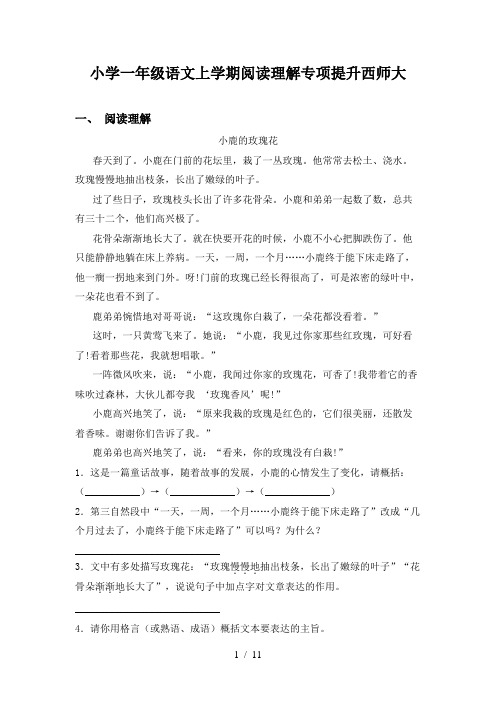 小学一年级语文上学期阅读理解专项提升西师大