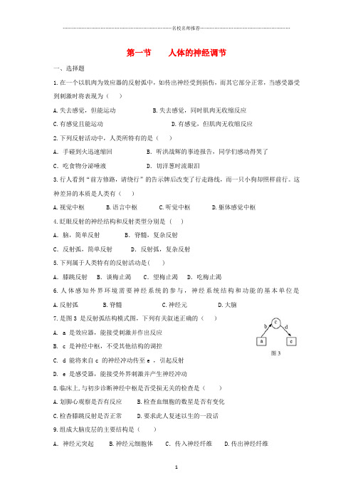 初中八年级生物上册6.16.1人体的神经调节名师精编同步练习1新版苏科版