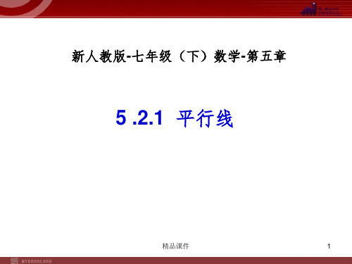 5.2.1平行线完整03063ppt课件