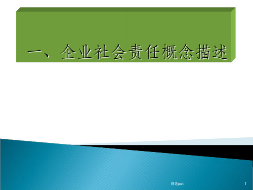 企业社会责任概念描述