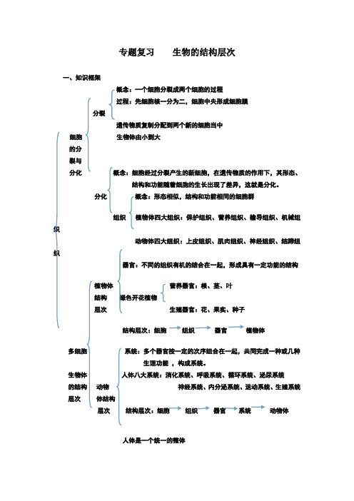 专题复习总结生物体的结构层次结构