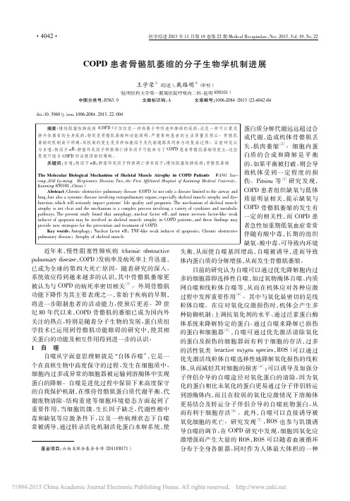 COPD患者骨骼肌萎缩的分子生物学机制进展_王学荣