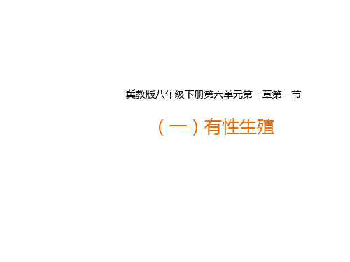 冀教版八年级生物下册 .1  植物的生殖--有性生殖 课件