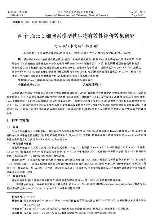 两个Caco-2细胞系模型铁生物有效性评价效果研究