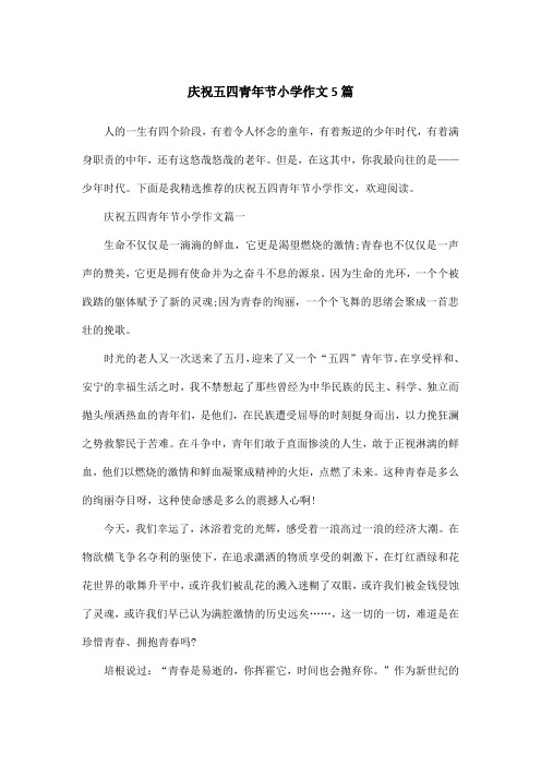 庆祝五四青年节小学作文5篇