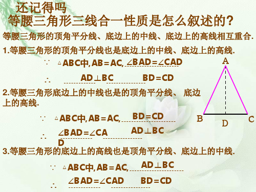 利用三线合一解题