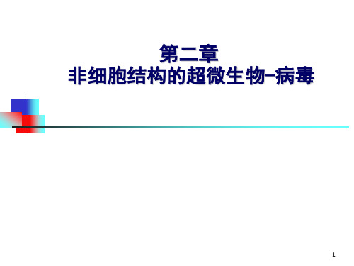 (环境微生物)第二章非细胞结构的超微生物-病毒