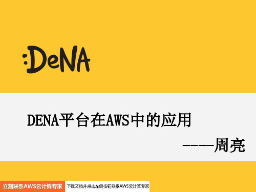 亚马逊AWS DENA平台在AWS中的应用