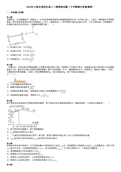 2024年上海市普陀区高三二模物理试题(下学期期中质量调研)