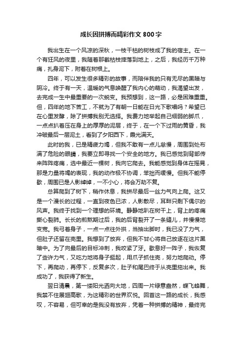 成长因拼搏而精彩作文800字