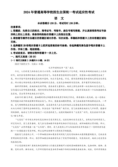 湖北省襄阳第四中学2024届高三下学期5月适应性考试语文试题 Word版含答案