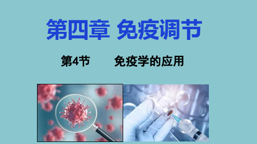 【课件】免疫学的应用课件 -2022-2023学年高二上学期生物人教版(2019)选择性必修1