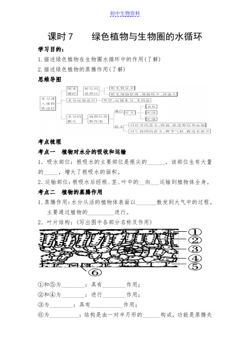 课时7全效学习配套教案:绿色植物与生物圈的水循环
