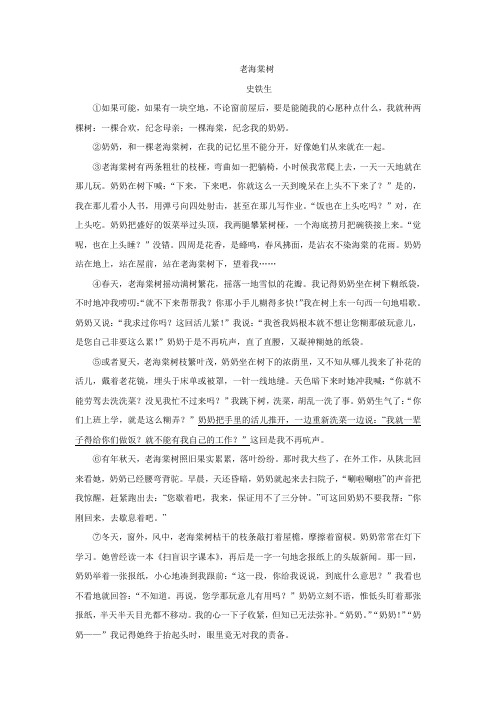 史铁生《老海棠树》阅读练习及答案