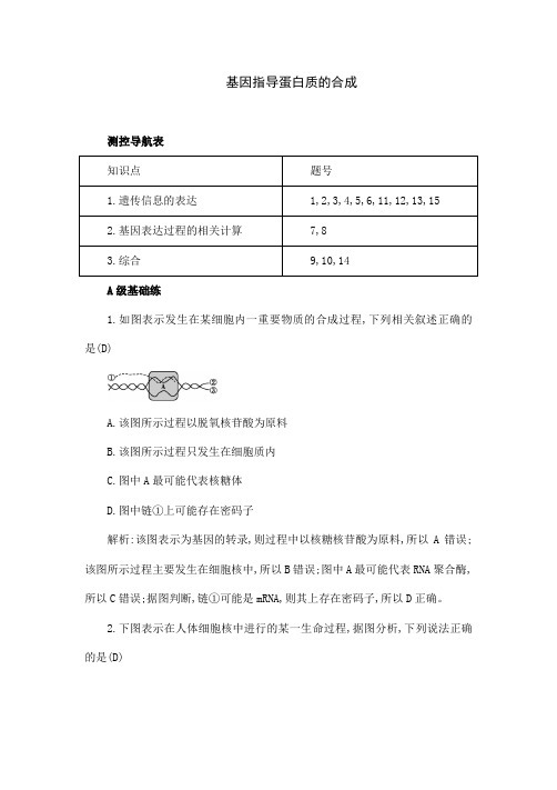 人教版生物高中必修二《基因指导蛋白质的合成》课时训练