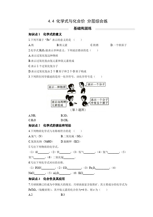 初中化学人教版九年级上册分层综合练：4.4 化学式与化合价(学生版)