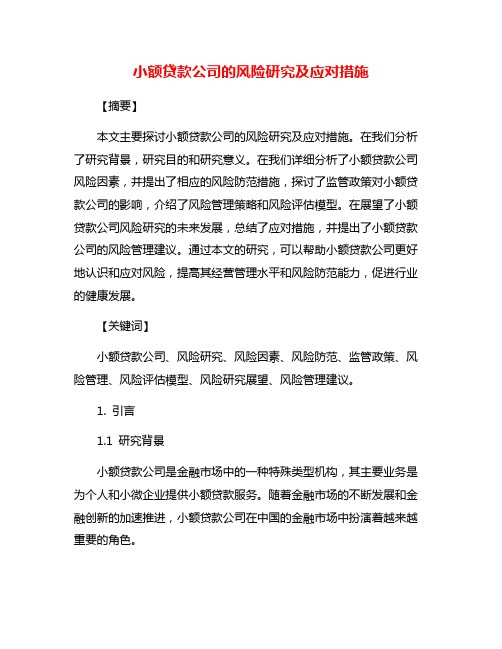 小额贷款公司的风险研究及应对措施