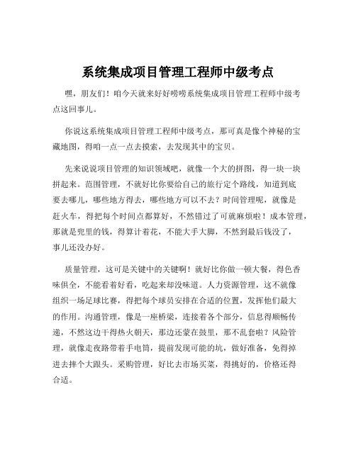 系统集成项目管理工程师中级考点