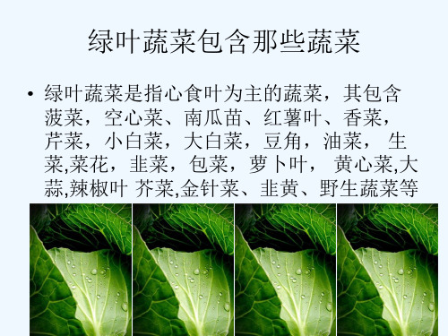 绿叶蔬菜栽培技术