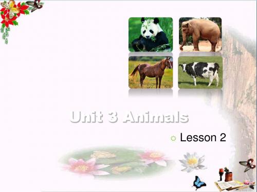 五年级英语上册Unit3Animals(Lesson2)ppt课件人教新起点