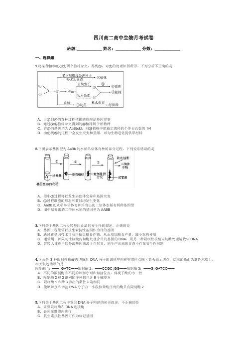 四川高二高中生物月考试卷带答案解析
