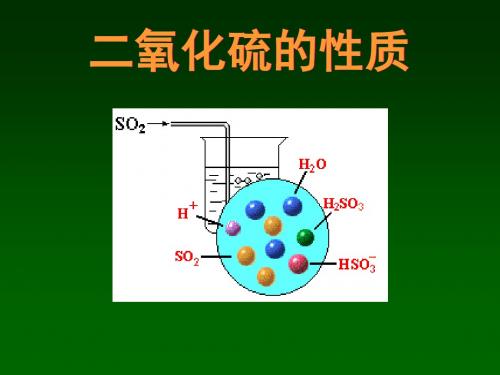 【化学课件】二氧化硫的性质