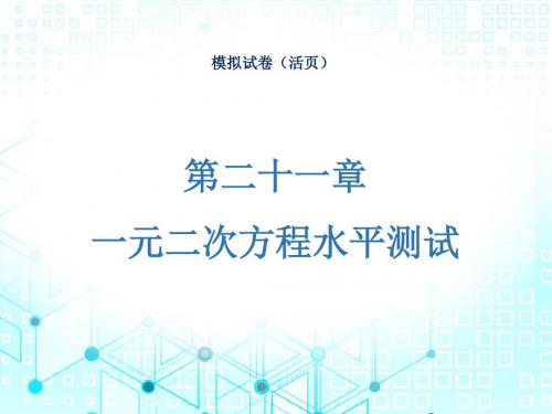 九年级全一册人教版 数学课时导学案  第二十一章一元二次方程水平测试