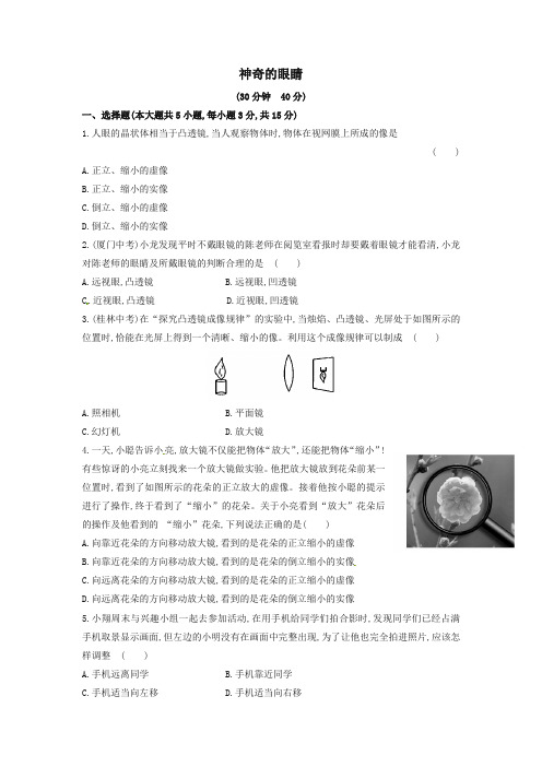 (新版)沪科版八年级物理全册试题 4.6神奇的眼睛课时作业