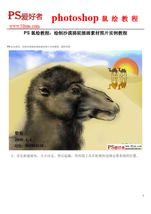 PS鼠绘教程：绘制沙漠骆驼插画素材图片实例教程