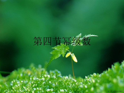 第四节幂级数