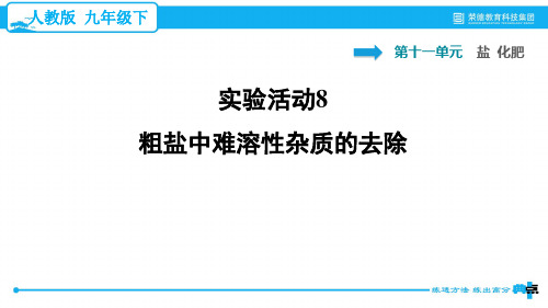 实验活动8 粗盐中难溶性杂质的去除     人教版九年级下册化学