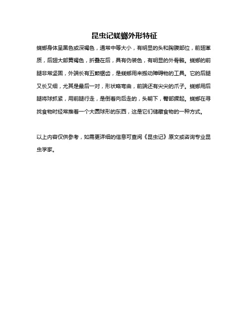 昆虫记蜣螂外形特征