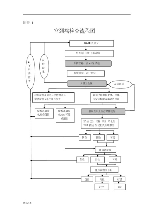 宫颈癌筛查流程图