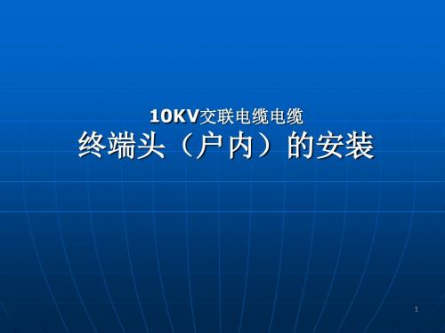 10kv电缆终端头制作讲解PPT演示课件