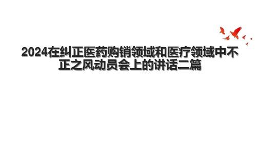 2024在纠正医药购销领域和医疗领域中不正之风动员会上的讲话二篇.pptx