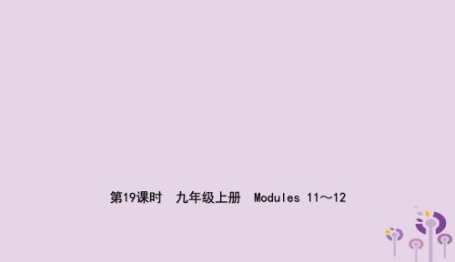 山东省德州市2019年中考英语总复习第19课时九上Modules11_12课件20190115253