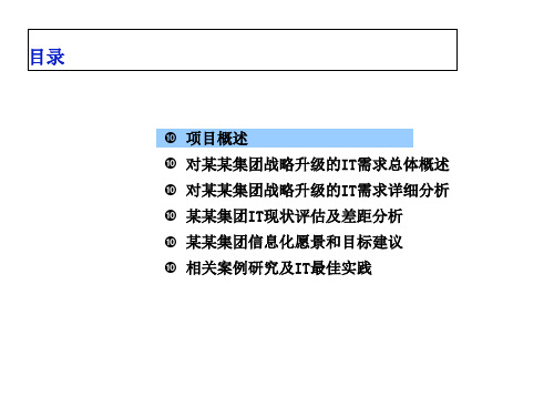 IT项目战略方案书(PPT 134页)