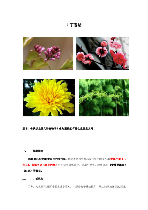 部编版语文6年级上册 一课一练 丁香结(含答案)