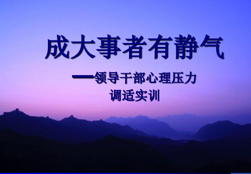 领导干部心理压力调适实训PPT课件